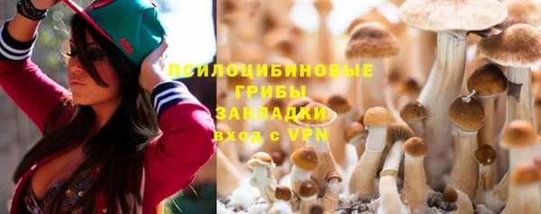 mix Инта