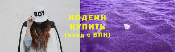 mix Инта
