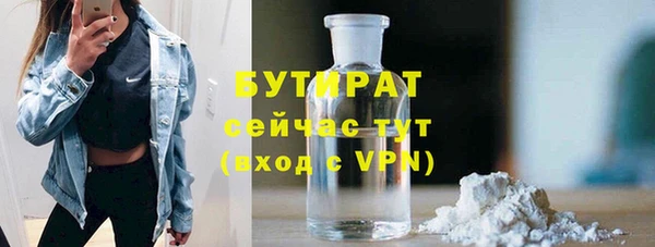 mix Инта