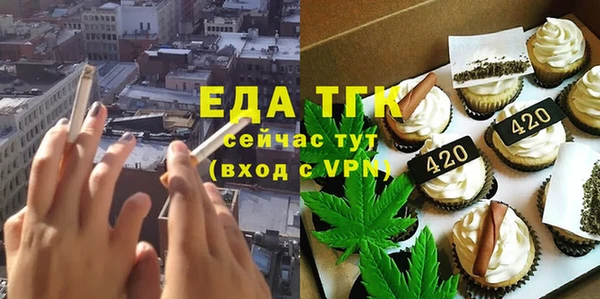 дмт Инсар