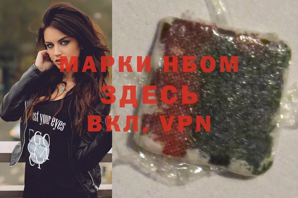 mix Инта
