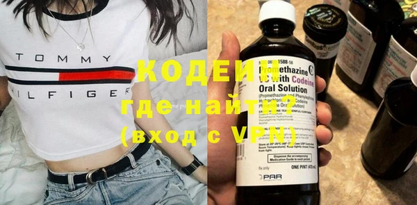 mix Инта