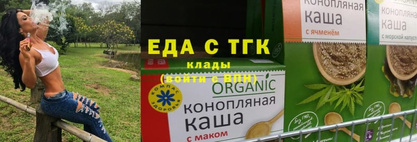mix Инта