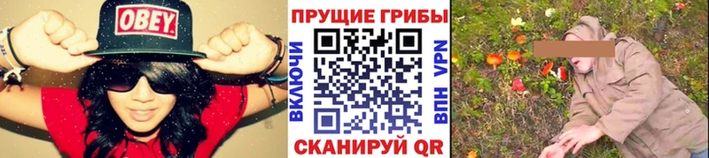 Галлюциногенные грибы Cubensis  Купить где  Приморск 