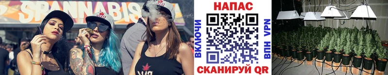 Купить  Приморск  Марихуана сатива 
